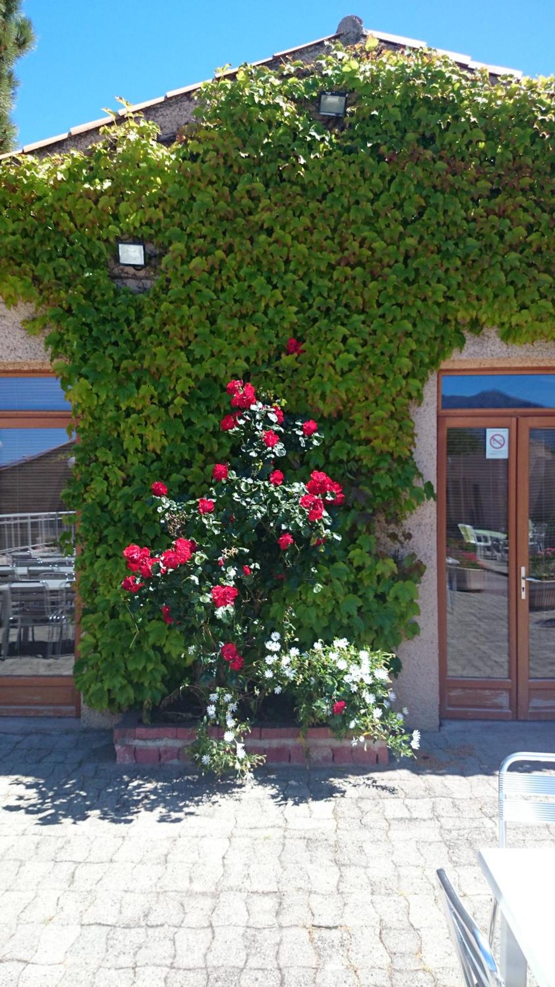 Hotel "U Nebbiu" Oletta  Zewnętrze zdjęcie